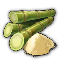 Sugar Cane in Anno 1800